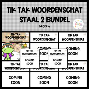 STAAL 2 TIK TAK WOORDENSCHAT (GROEI) BUNDEL GROEP 6