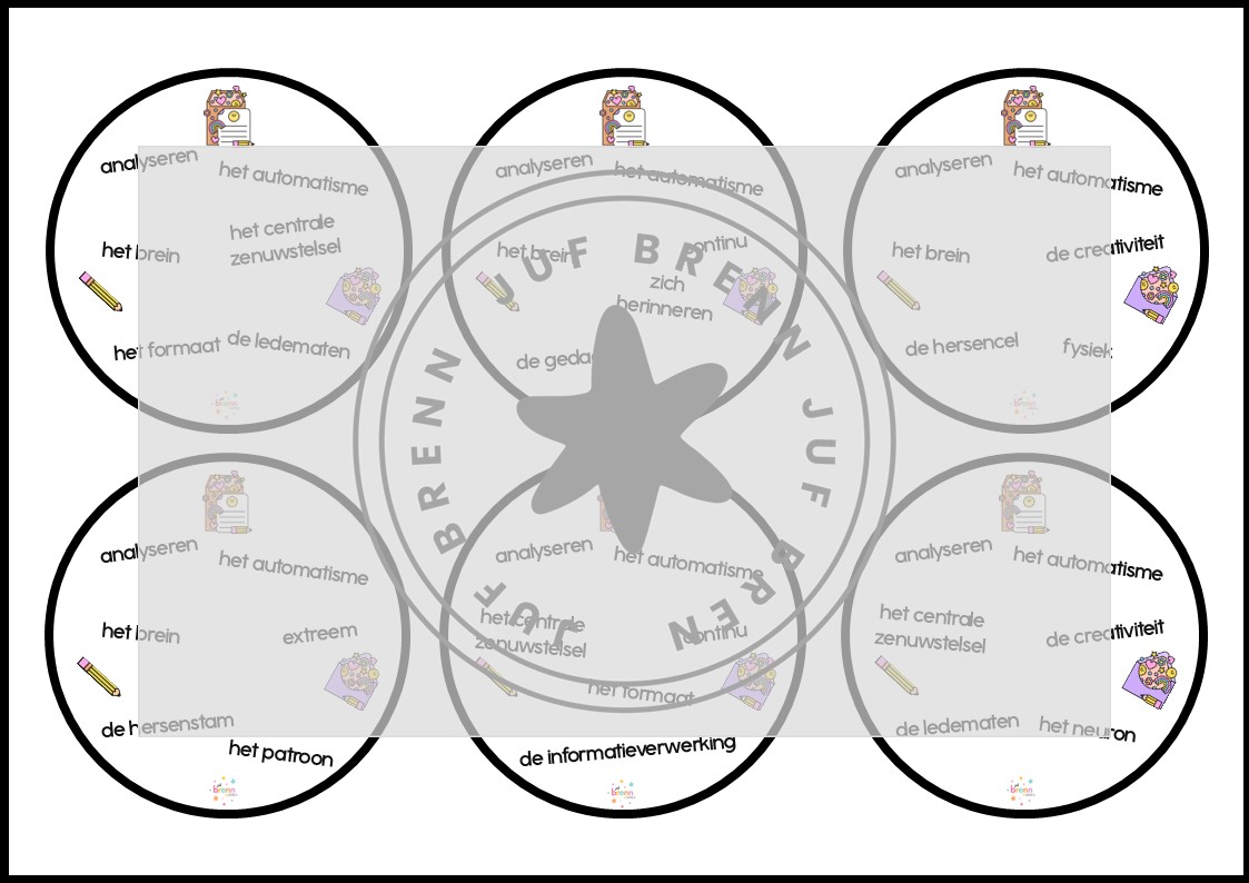 STAAL 2 DOBBLE GROEP 7 THEMA HERSENEN - Afbeelding 2