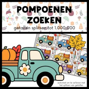 POMPOENEN ZOEKEN: GETALLEN SPLITSEN TOT 1.000.000