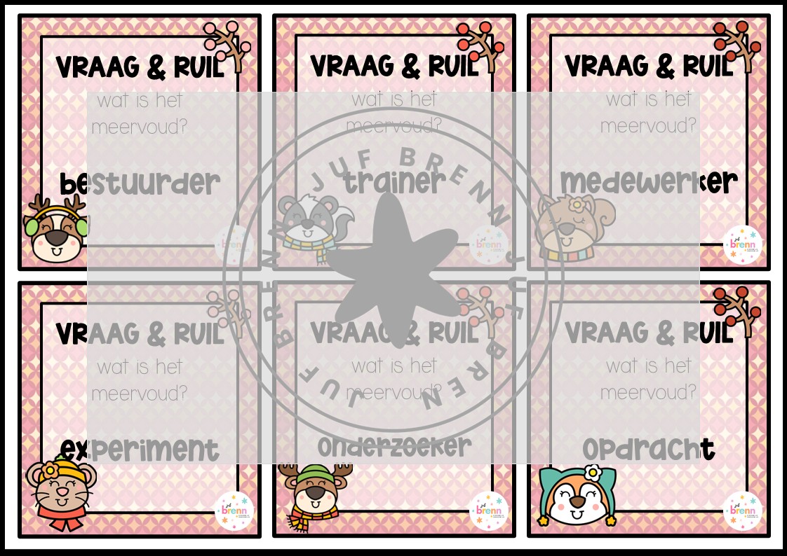 MIX VRAAG & RUIL: ENKELVOUD/MEERVOUD NIVEAU 2 - Afbeelding 3