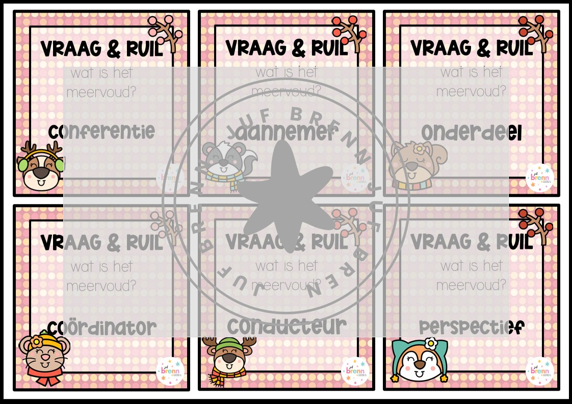 MIX VRAAG & RUIL: ENKELVOUD/MEERVOUD NIVEAU 3 - Afbeelding 3