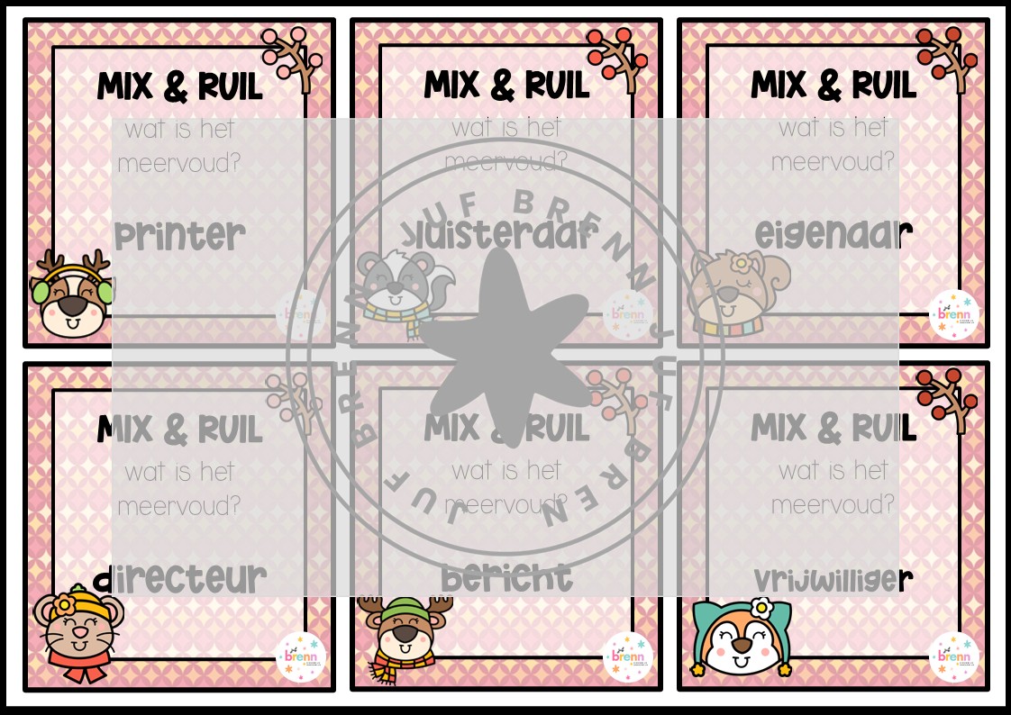 MIX VRAAG & RUIL: ENKELVOUD/MEERVOUD NIVEAU 2 - Afbeelding 2