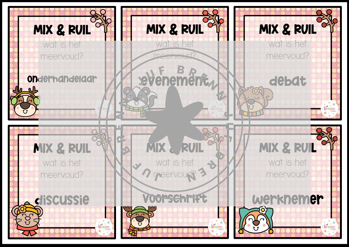 MIX VRAAG & RUIL: ENKELVOUD/MEERVOUD NIVEAU 3 - Afbeelding 2