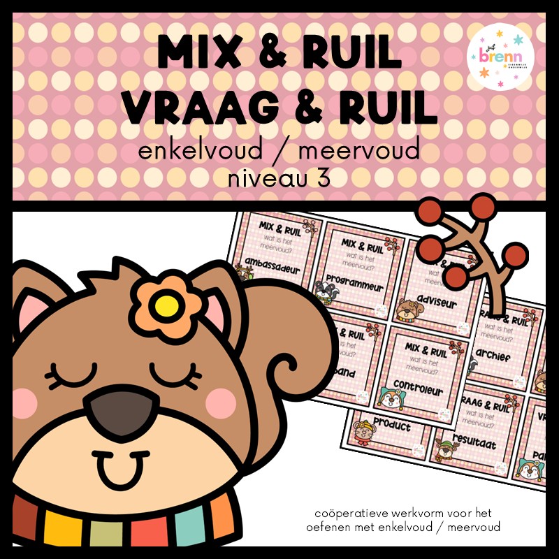 MIX VRAAG & RUIL: ENKELVOUD/MEERVOUD NIVEAU 3