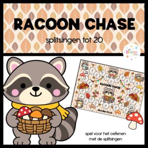 RACOON CHASE: SPLITSINGEN TOT 20